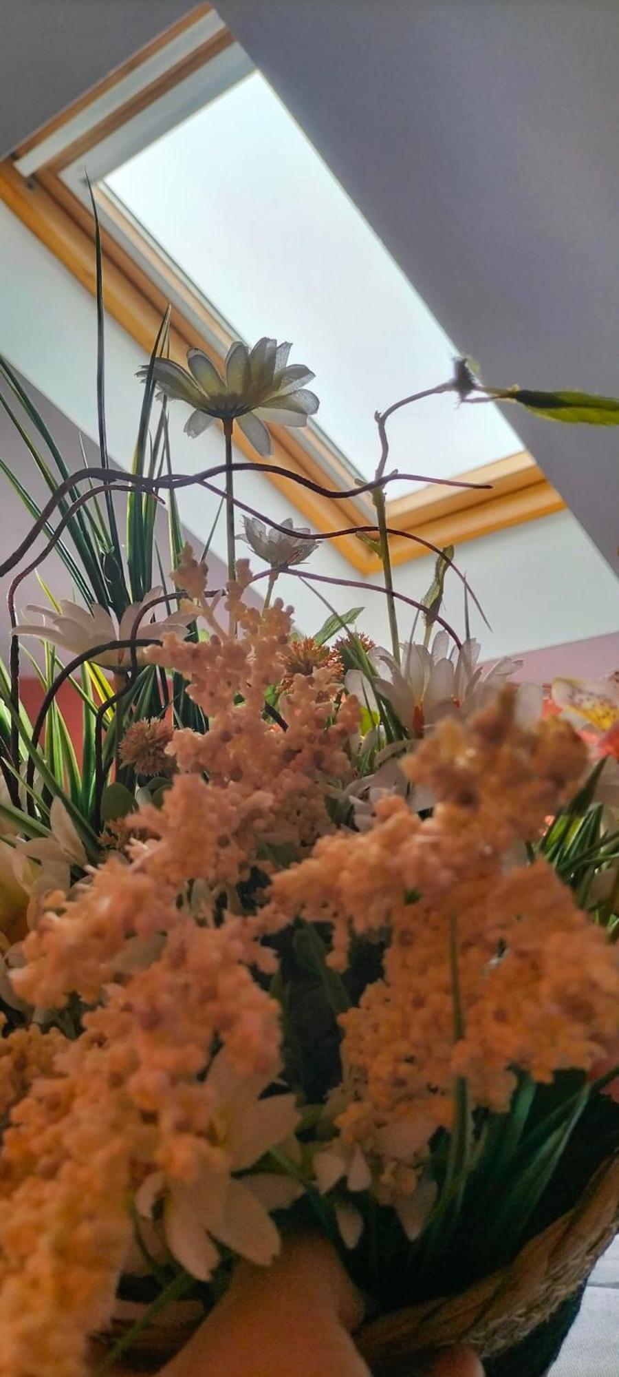 Il Sogno Di Jole Apartament Catania Bagian luar foto